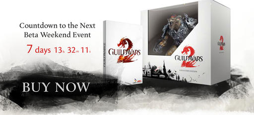 Guild Wars 2 - Отсчет пошел...